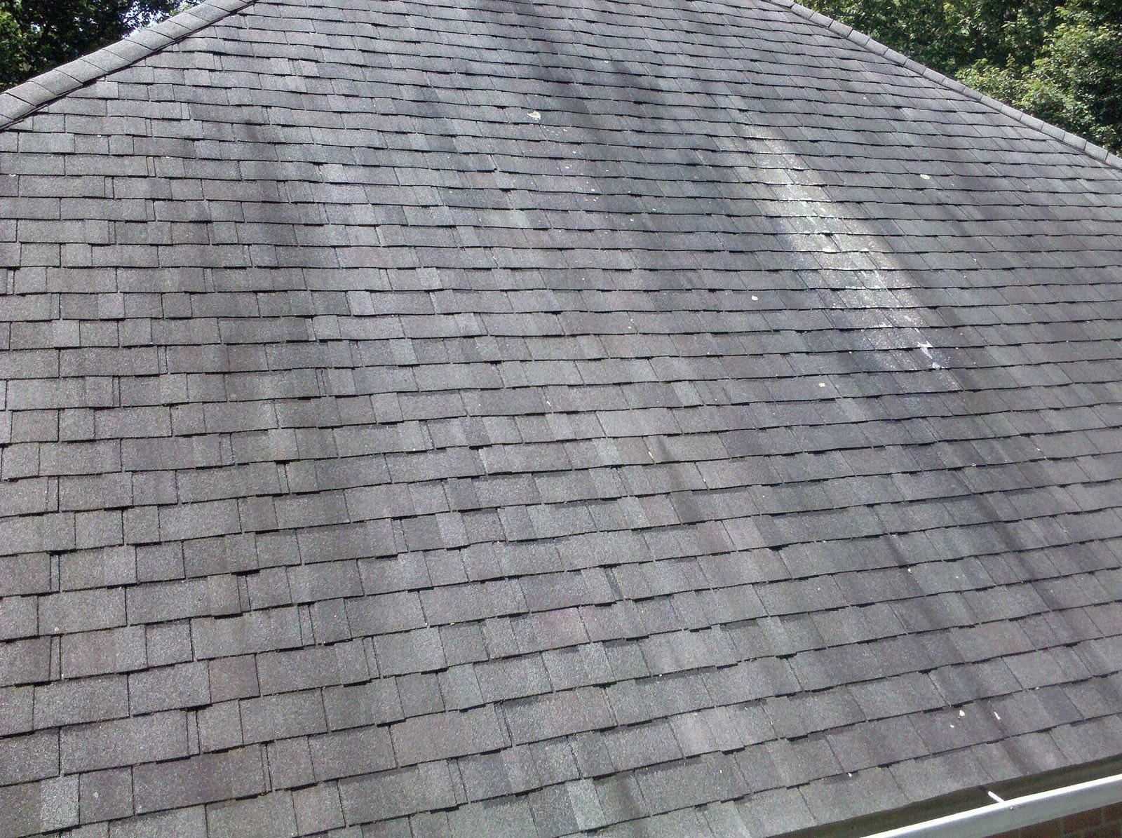 What Are the Black Streaks on My Roof? (And When They're Dangerous)