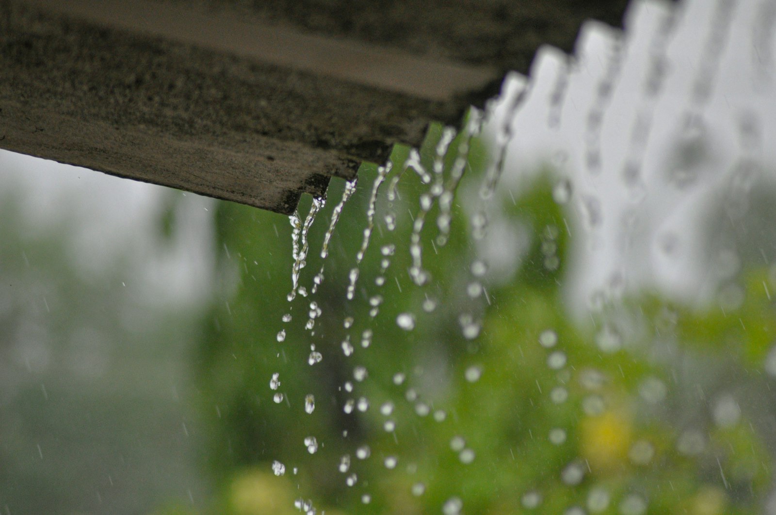 How Florida's Rainy Season Damages Gutters: What Estero Homeowners Can Do About It