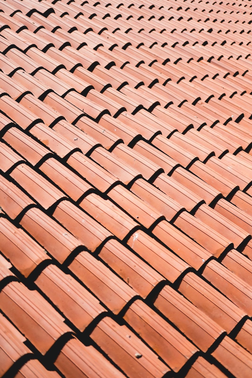 How Much Does Soft Wash Roof Cleaning Cost in SWFL? (2026 Price Guide)