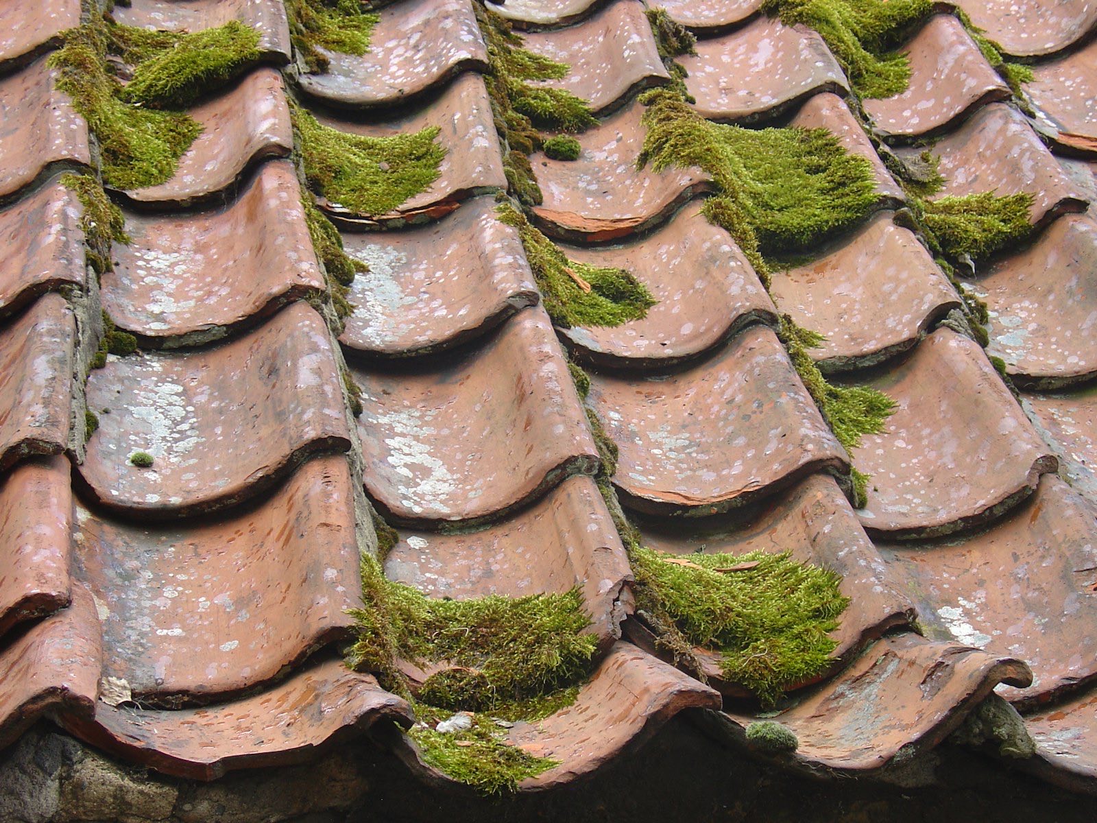 Soft Wash vs Pressure Washing: Which Is Safe for Your Florida Roof?