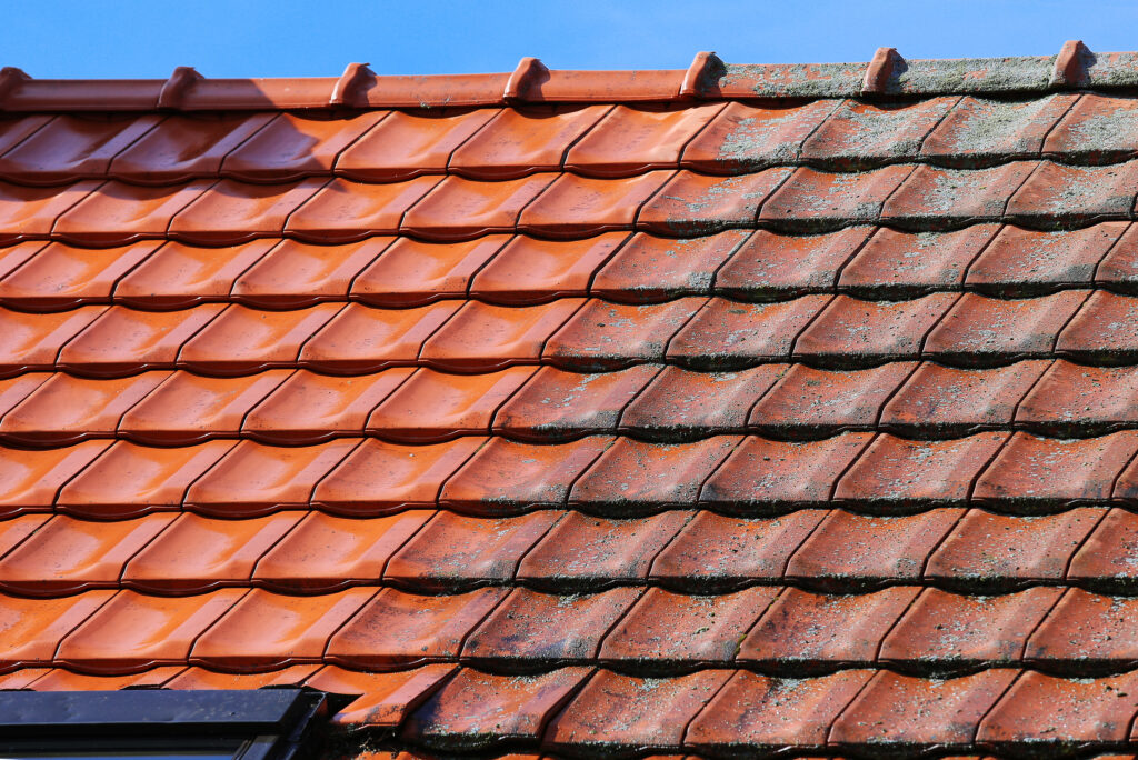 Organic growth on roof