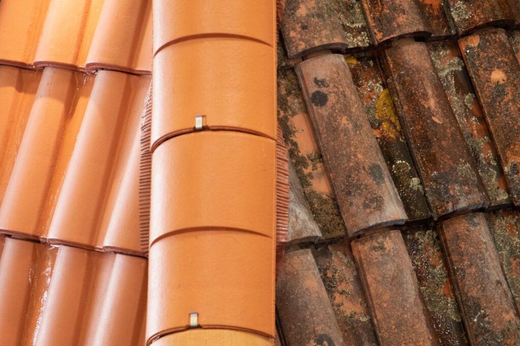 Mold and algae growth on a Fort Myers roof, showing the need for regular cleaning to prevent health issues.