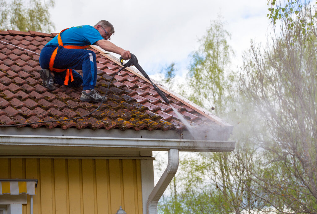 DIY Roof Cleaning Attempt by Homeowner