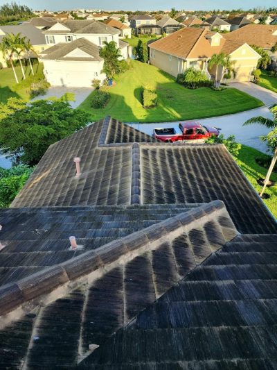 Algae Growth on Roof in Fort Myers